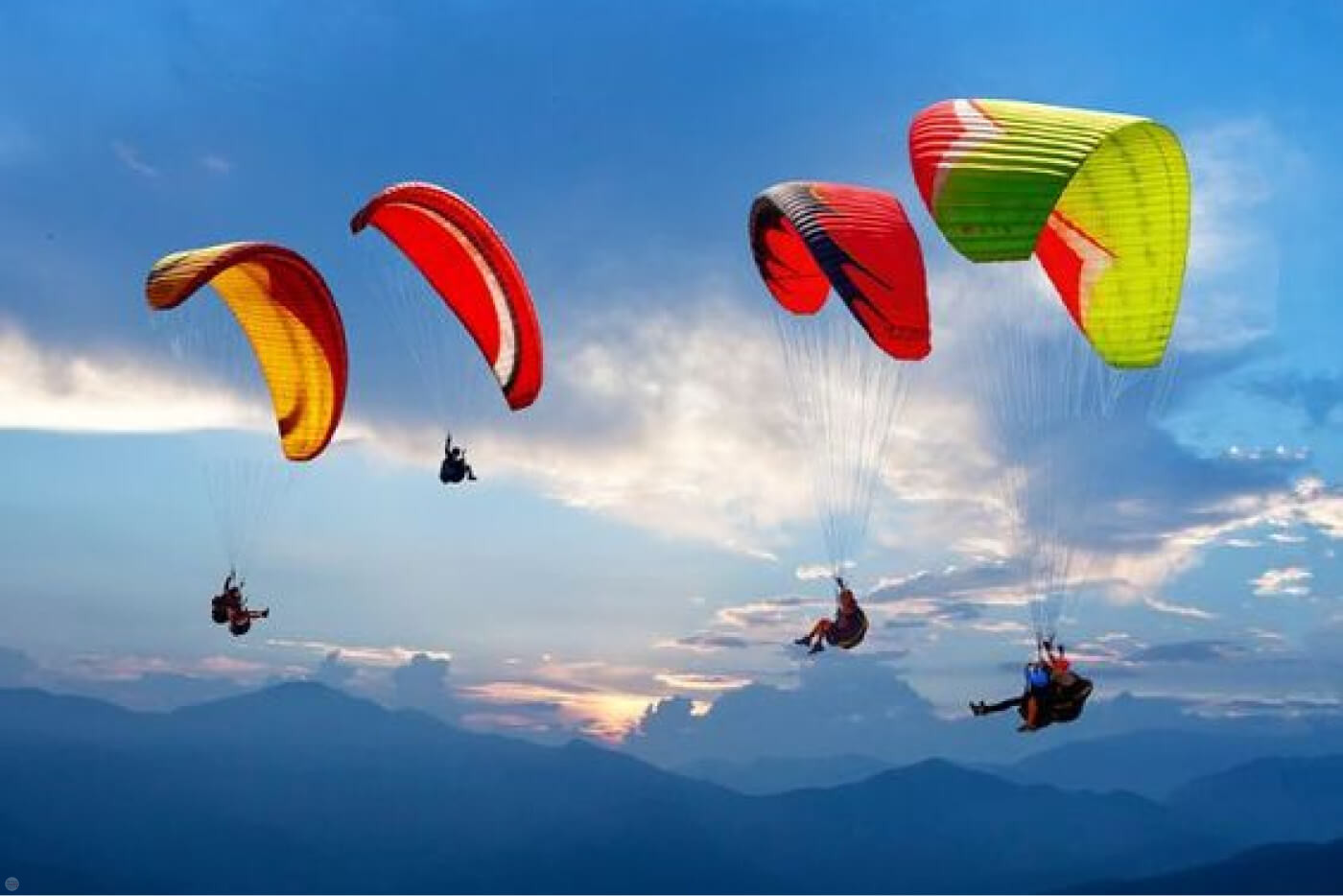 Florida Coach Dies at 43 From Complications Surgery