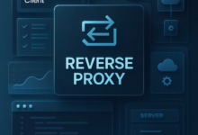 what is reverse proxy
