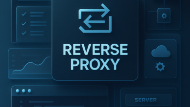 what is reverse proxy