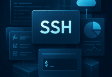 what is ssh