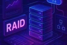 what is raid