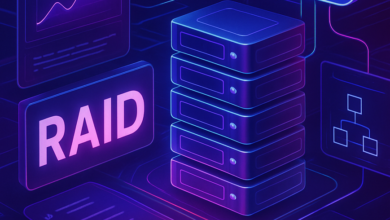 what is raid